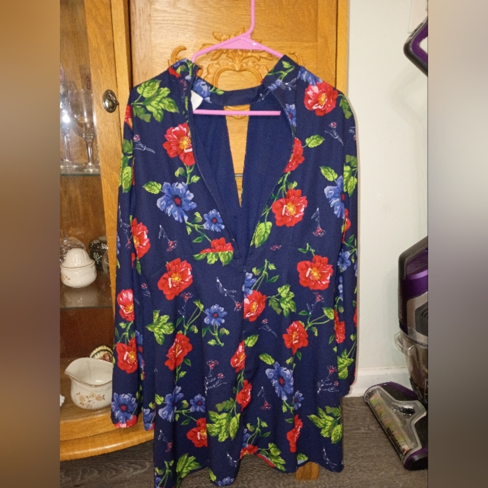 Floral Mini Dress - Red and Blue